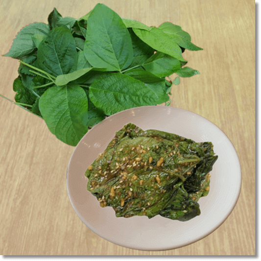 콩잎 효능 및 영양소 먹는 법과 주의점