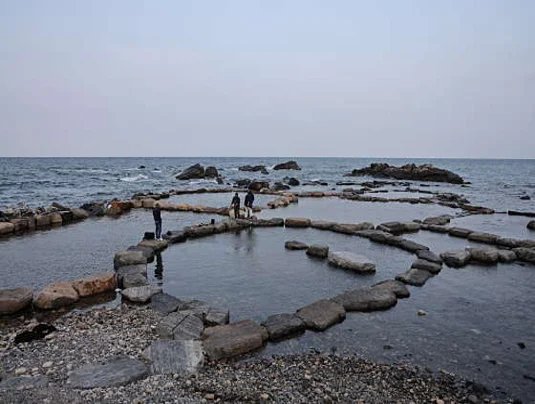 주전어촌체험마을안내센터