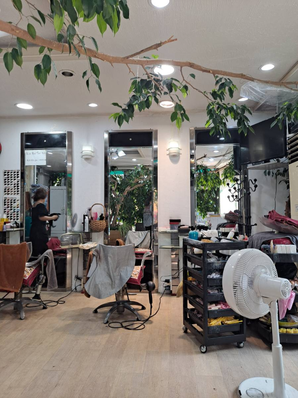 노랑머리 미용실 풍경