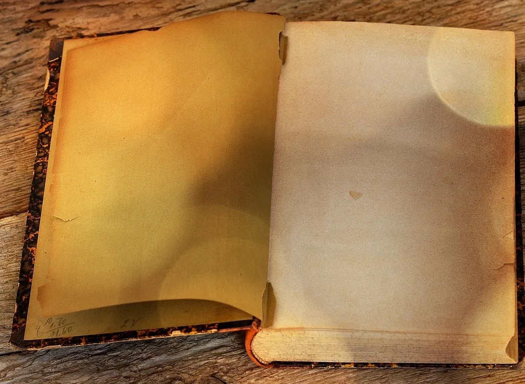 되다-돼다-정확한-맞춤법-되-돼