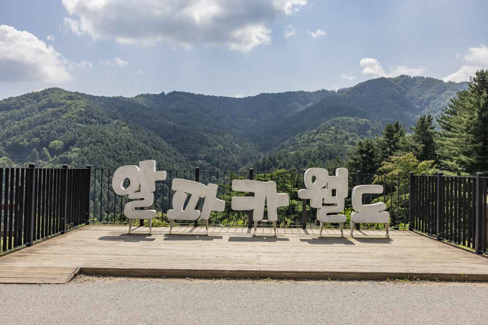 강원도 가볼만한곳 베스트10 홍천 알파카월드