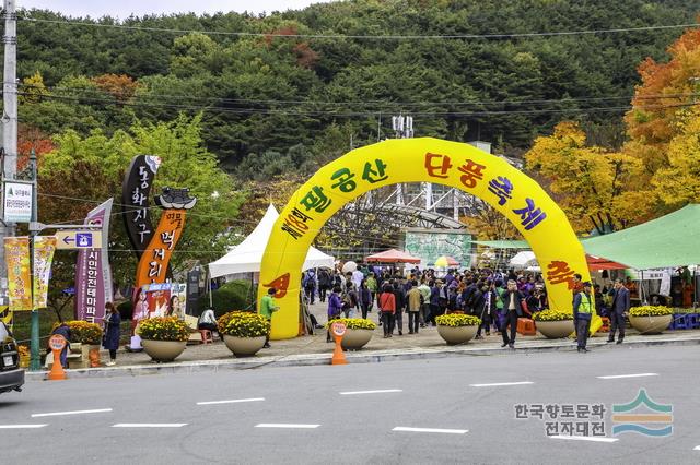 2025 팔공산 단풍축제🍁 갓바위·케이블카·절정 시기·등산 코스 총정리!(대구역사문화대전 출처)
