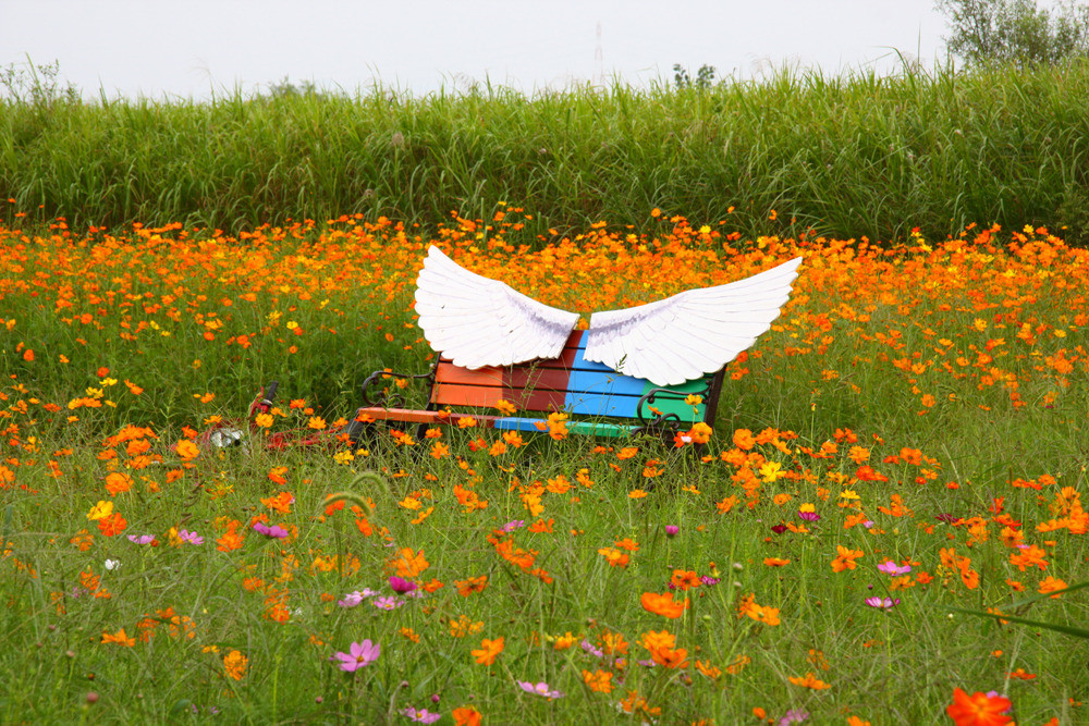 밀양 초동연가길