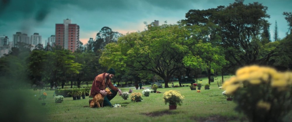 영화 카라멜루 스틸컷 &ndash; 평화로운 공원 묘지에서 강아지를 다정하게 쓰다듬으며 교감하는 페드로의 서정적인 모습