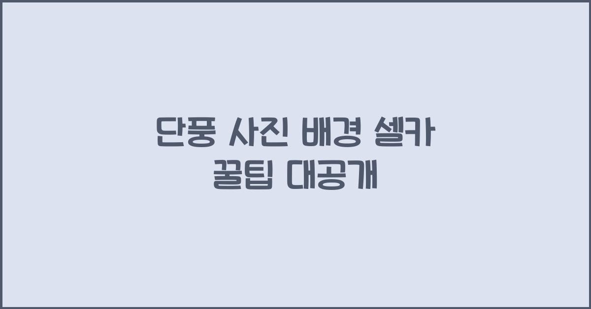 단풍 사진 배경으로 셀카 잘 찍는 법