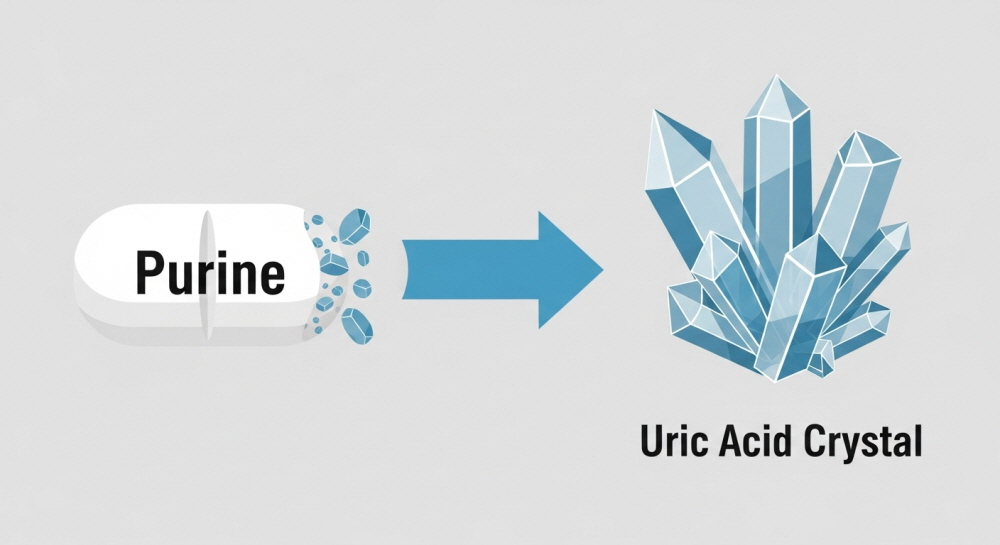 맥주효모 부작용