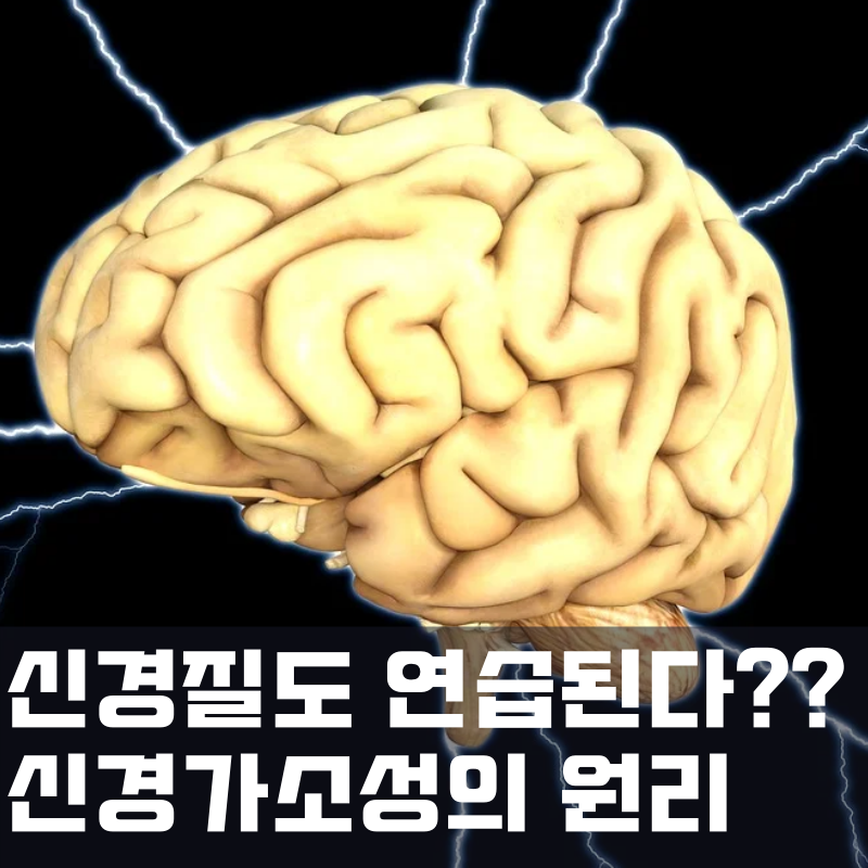 최악을 극복하는 힘 3 :