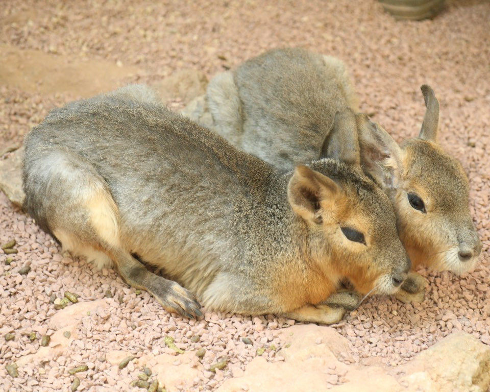 네이처파크 플라워페스티벌 2025