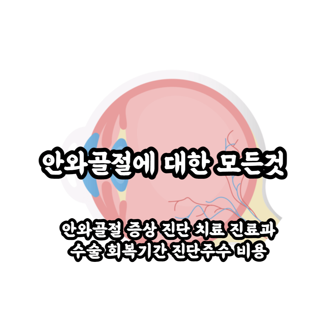 안와골절 부위 및 증상 치료 회복 비용 병원 진단주수