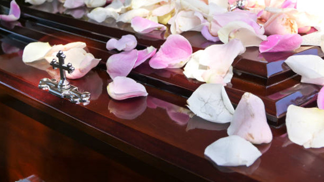 바이오 장례 캡슐, 인간 유해를 생명 에너지로 전환하다