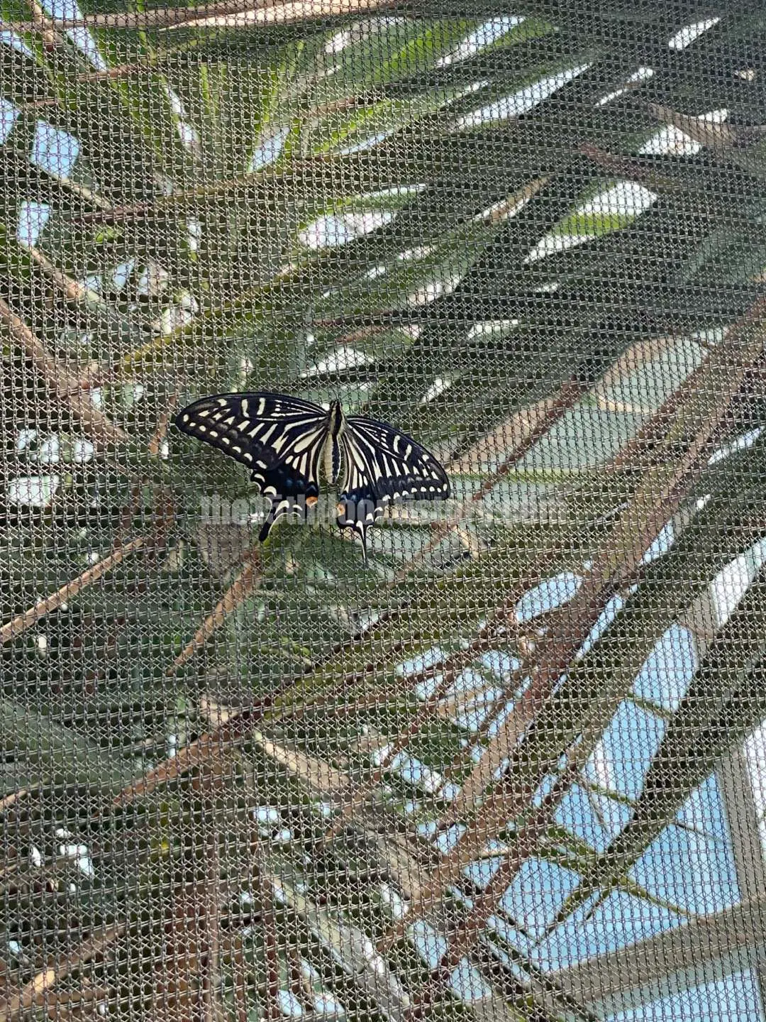 경남 의령 &amp;#39;의령 곤충생태학습관&amp;#39; (1층&amp;#44; &amp;#39;생태 유리온실&amp;#39;)