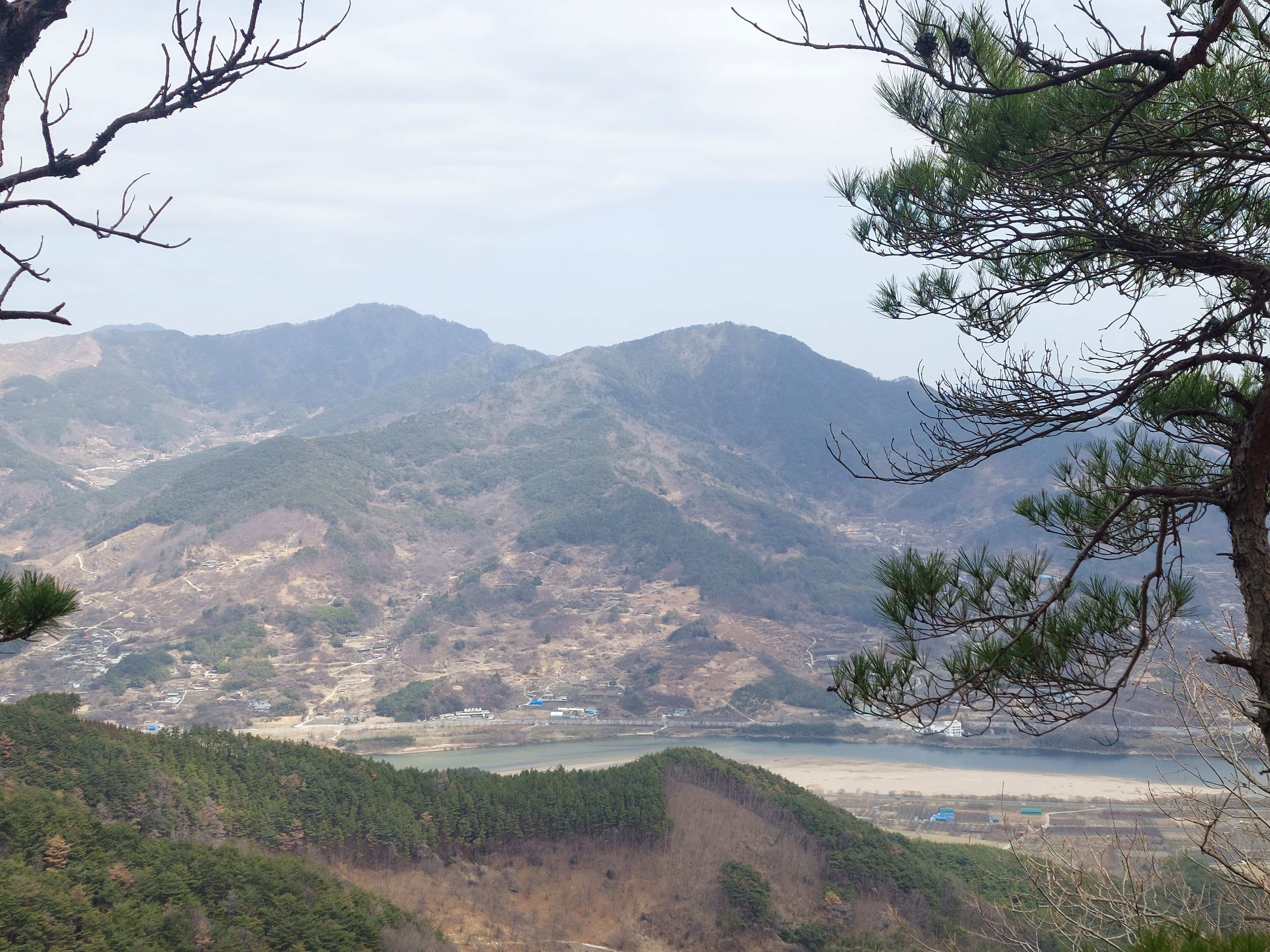 쫓비산