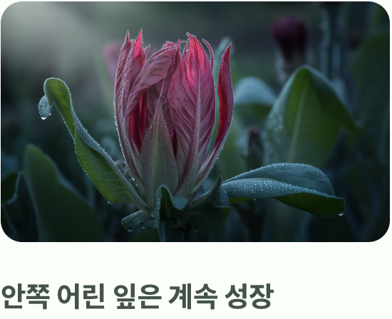 가장 큰 즐거움, 수확의 기쁨