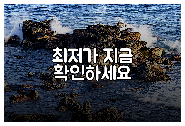 최저가 지금 확인하세요