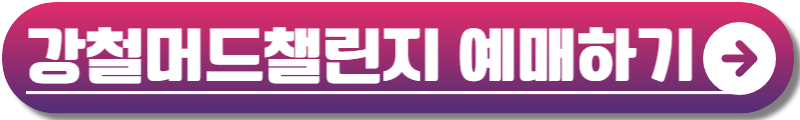 보령머드축제