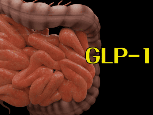 혈당 스파이크 막는 12가지 비법