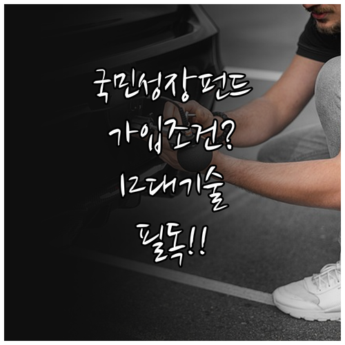 국민성장펀드 가입 조건 및 12대 전..