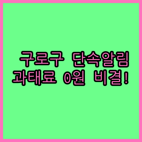 구로구 불법주정차 단속 알림 서비스 ..