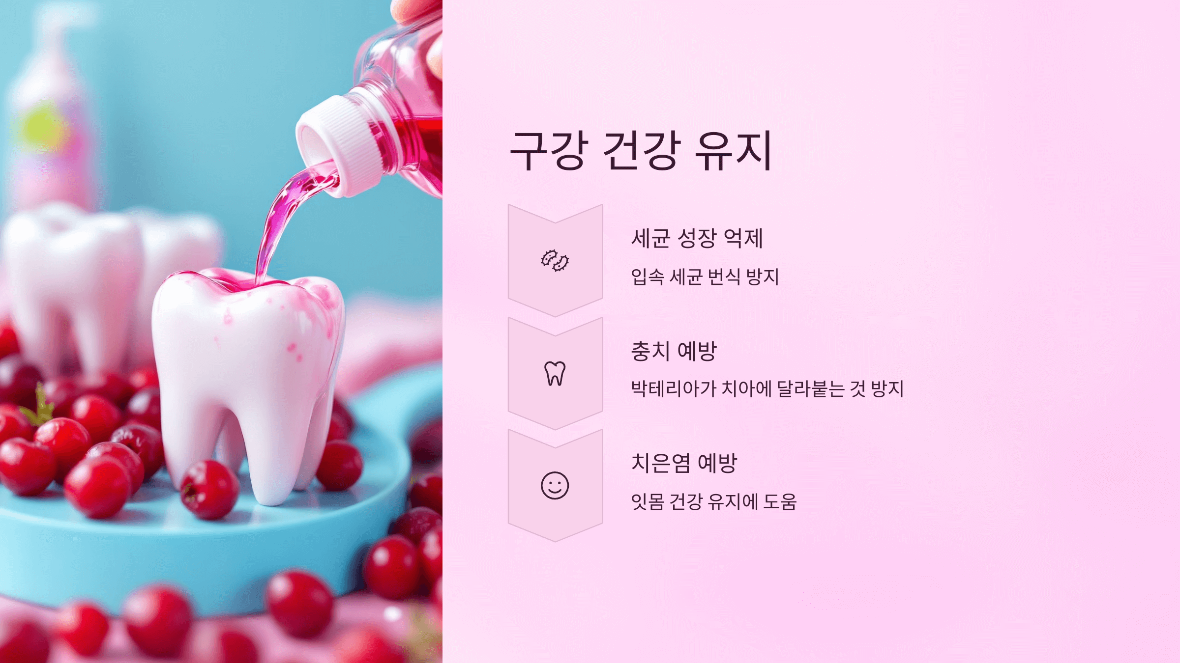 크랜베리 사진입니다.