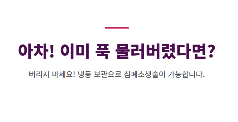 자두 보관방법
