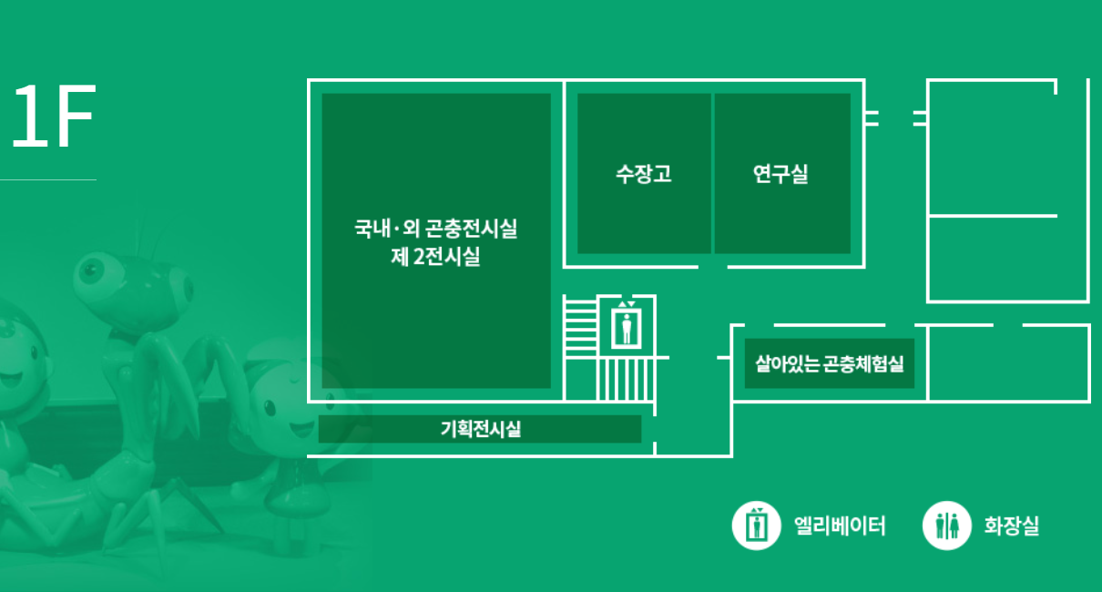 양평 곤충박물관