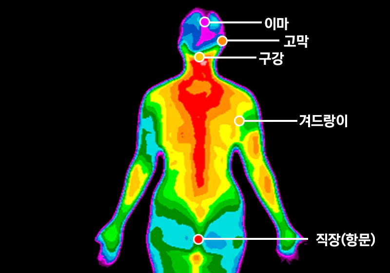 인체-부위별-온도