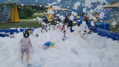 2024 양평메기수염 축제 일정&amp;#44; 예약&amp;#44; 주차장 위치