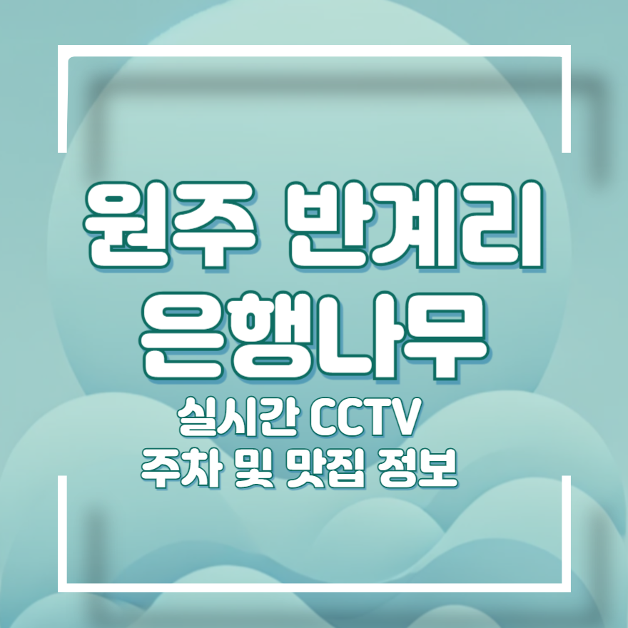 반계리 은행나무 주차