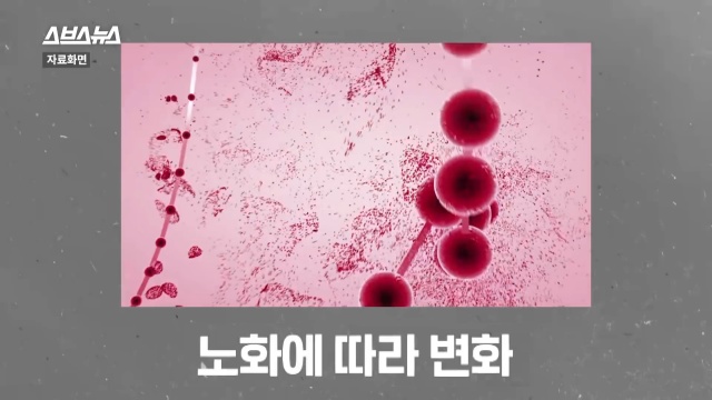 30대 후반 여성 급노화, 얼굴 주름살, 피부관리, 자기관리, 건강 뷰티 팁줌 매일꿀정보