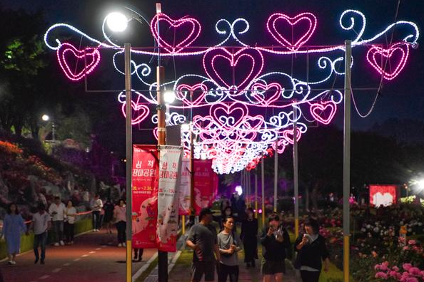 2025 삼척 장미공원 장미꽃 축제