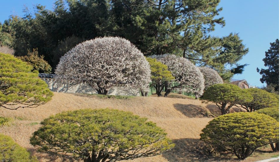 부산 충렬사