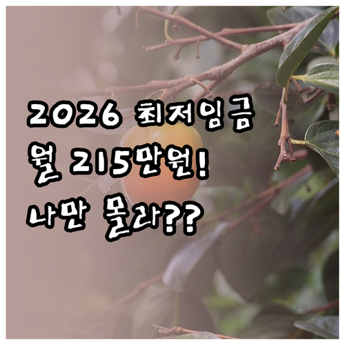 2026년 최저임금 월 215만 원대..