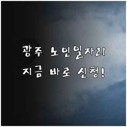 광주시니어클럽 노인일자리 종류와 신청..