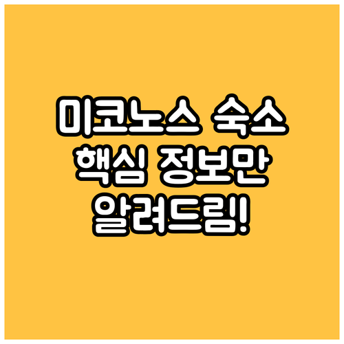 미코노스 숙소 선택 가이드 주요 정보