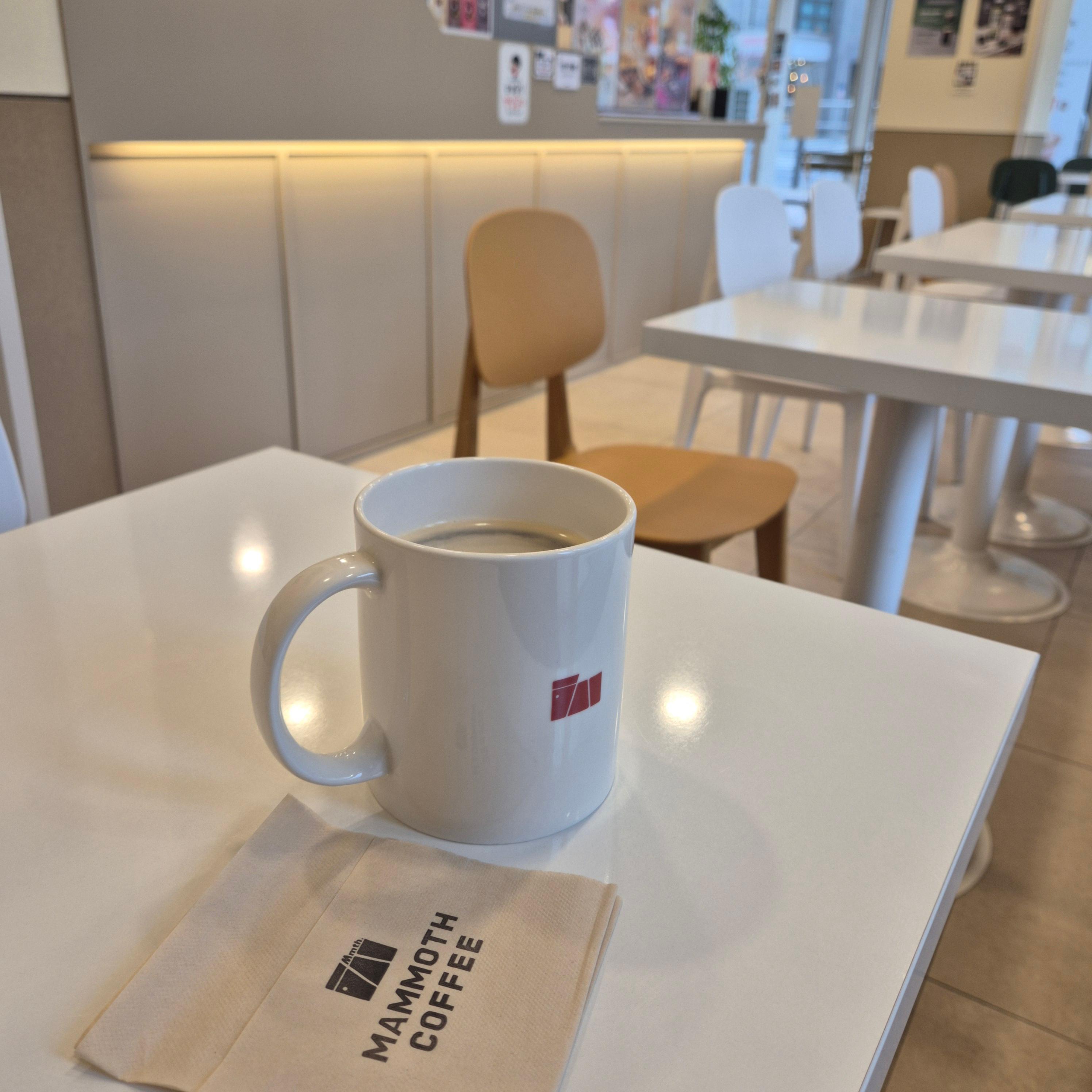 매머드 익스프레스 디카페인