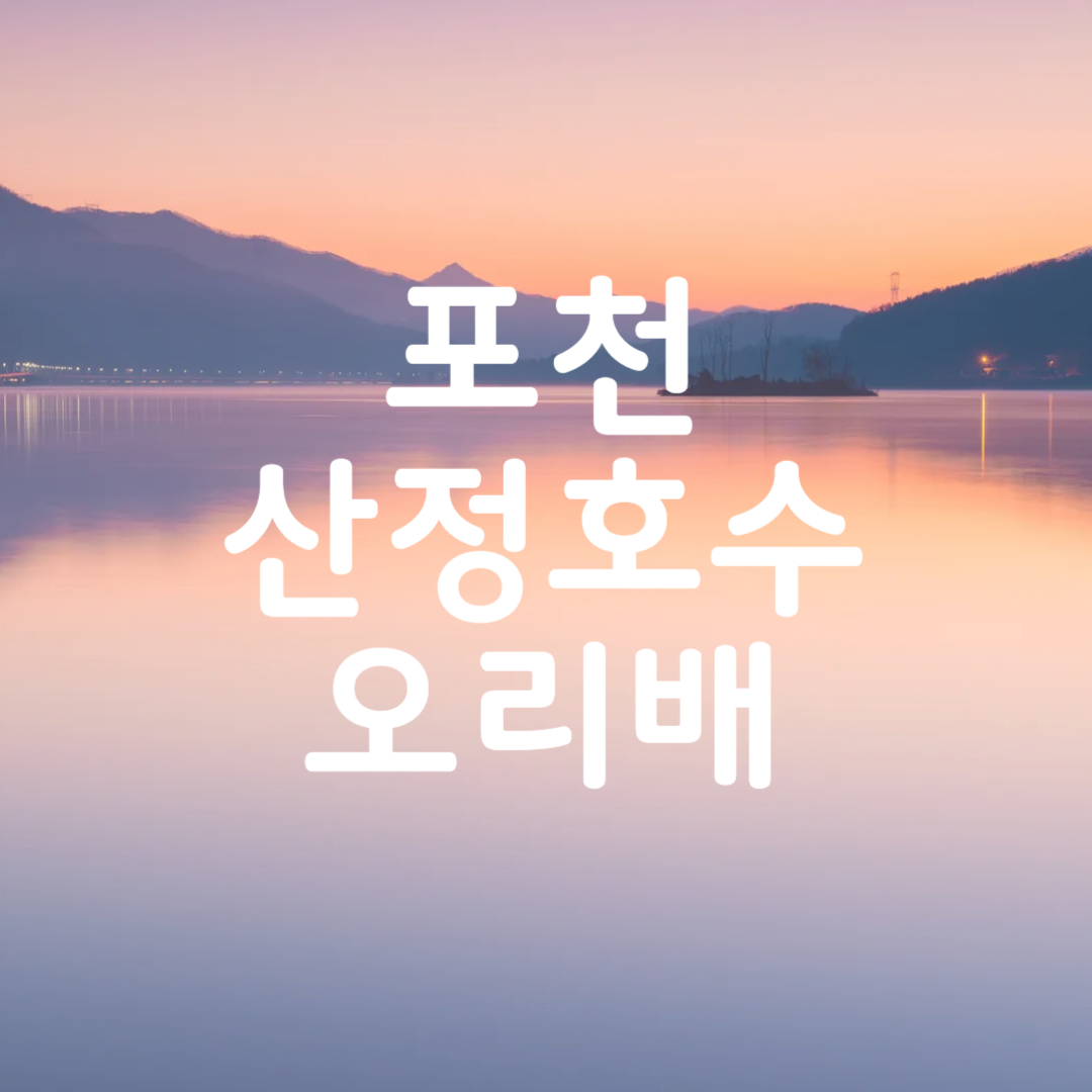 포천 산정호수 오리배 요금 종류