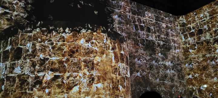 인피니티 블루의 한 장면