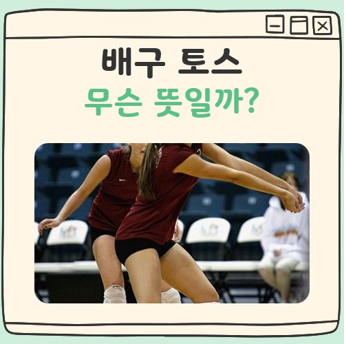 배구 토스 뜻 대표 이미지