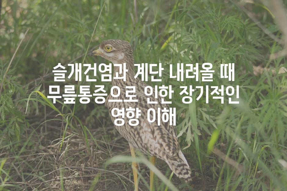 슬개건염과 계단 내려올 때 무릎통증으로 인한 장기적인 영향 이해