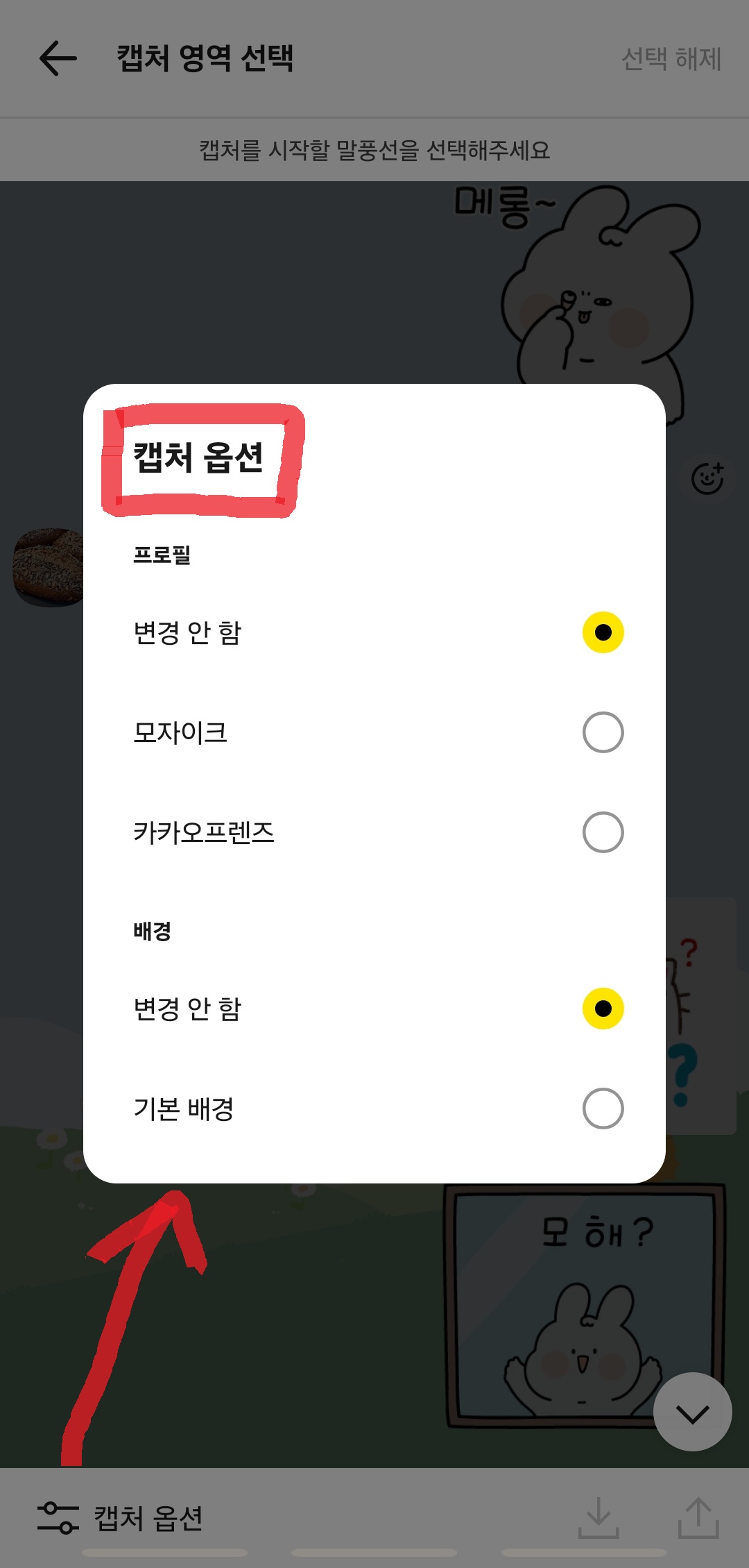 카카오톡 대화 캡처 옵션 선택 화면