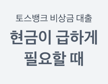 소액대출 100만원