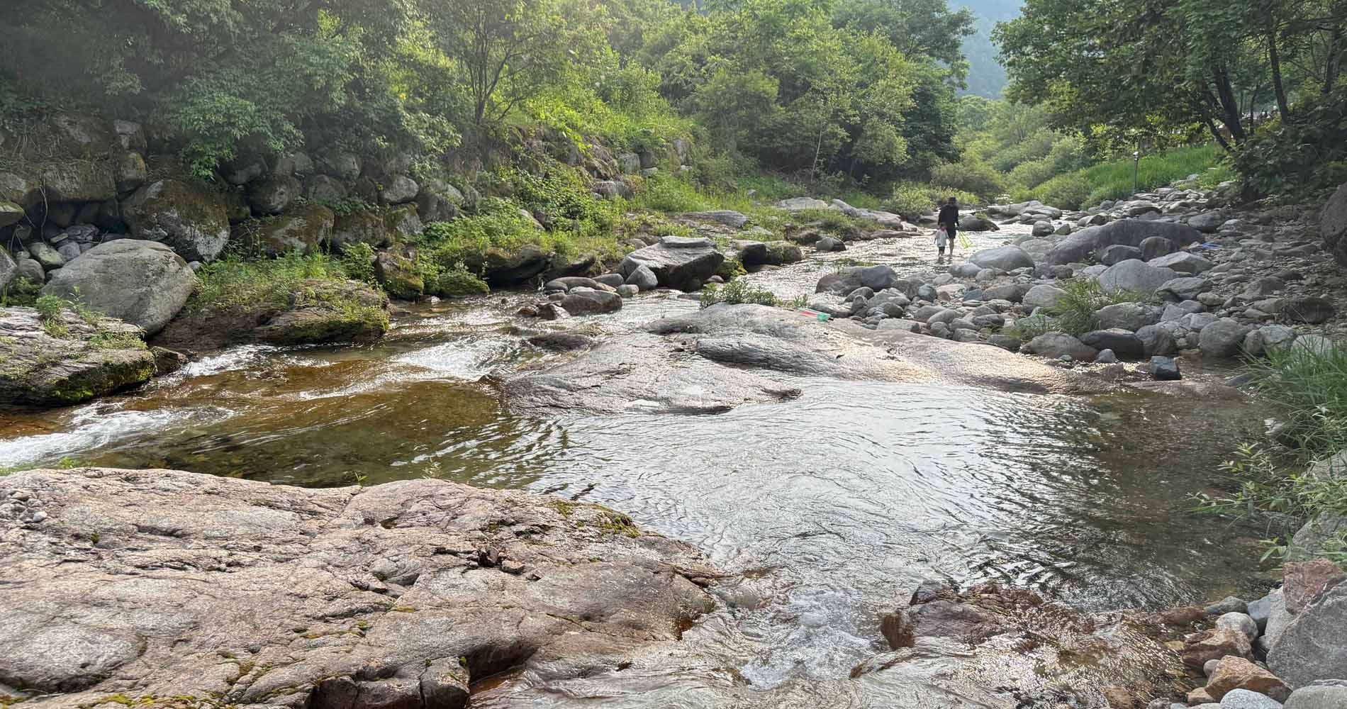 강원도횡성 아름채캠핑장계곡