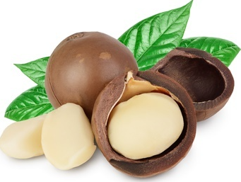 마카다미아의 효능