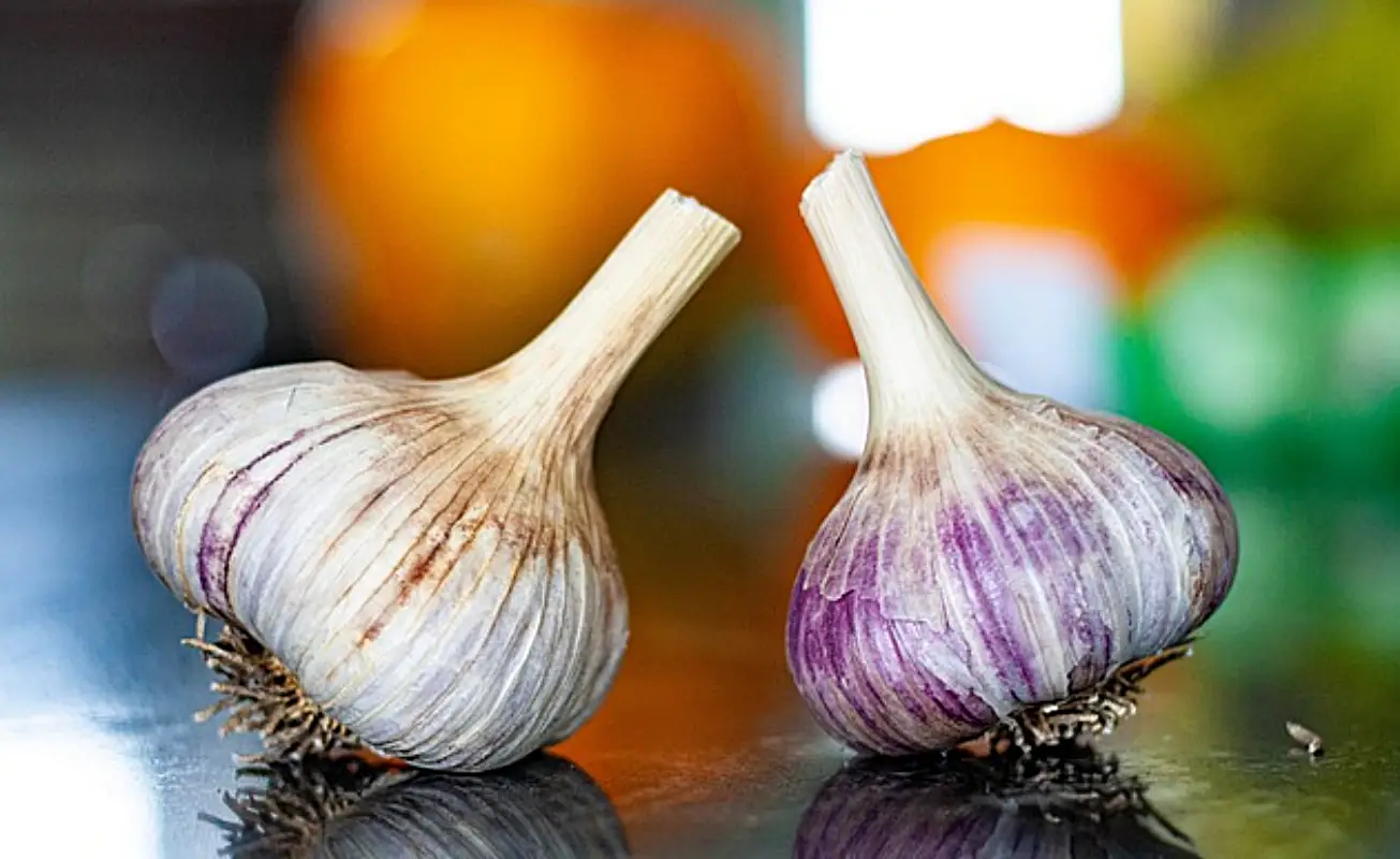 마늘장아찌 담그는법