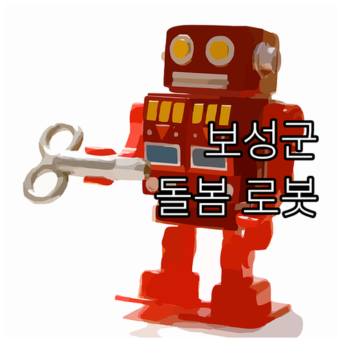 보성군 2025 홀몸 어르신 돌봄 로..