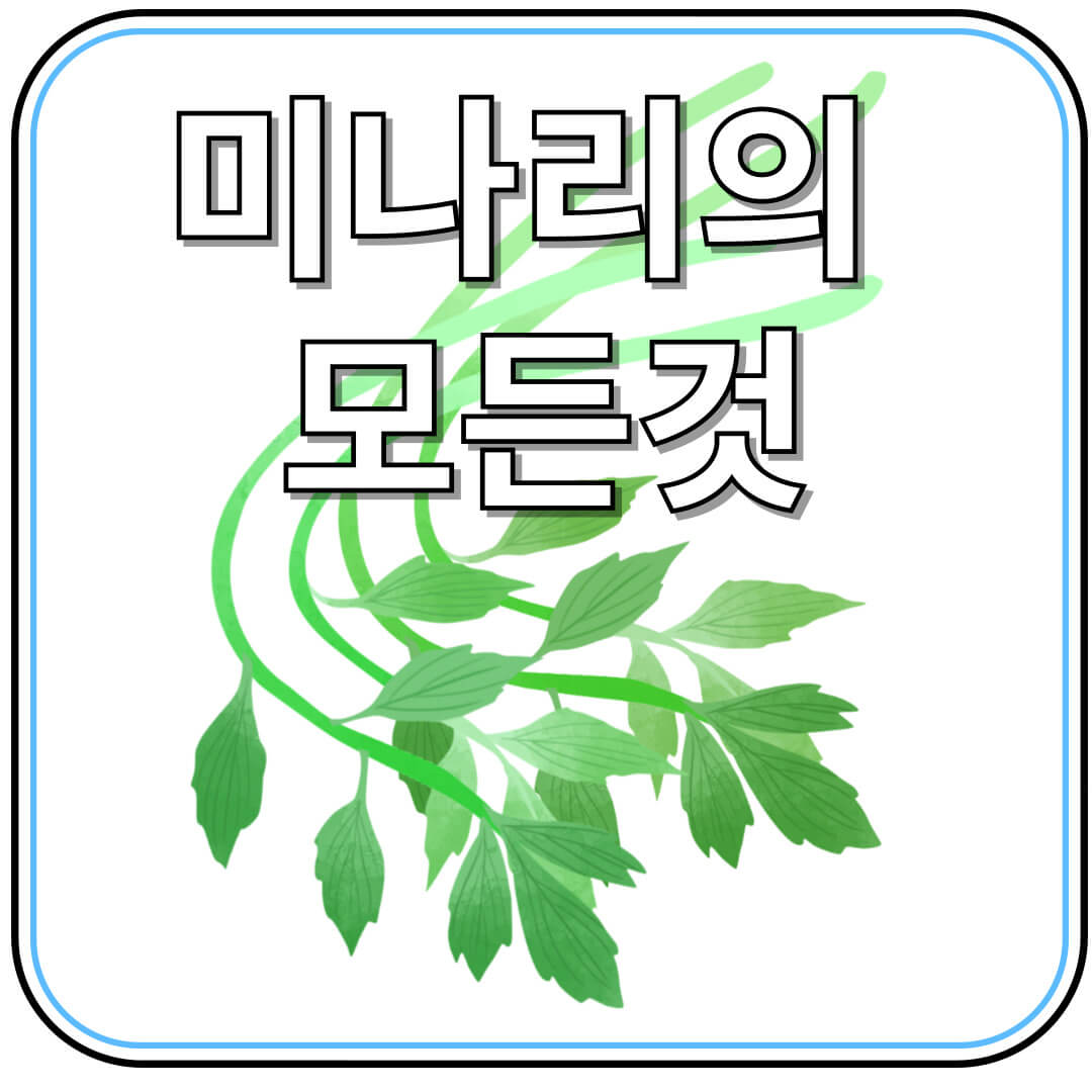 미나리 요리법과 건강 효과 &ndash; 숙취 해소부터 혈압 조절까지