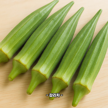 오크라 효능