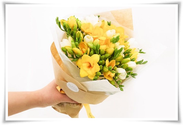 "프리지아" 봄을 알리는 황금빛 향기, 그 매력과 재배의 모든 것!