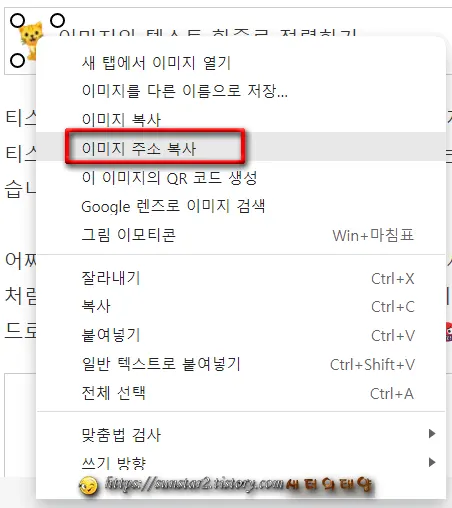 티스토리 글쓰기 이미지와 텍스트 한줄로 정렬하기_3