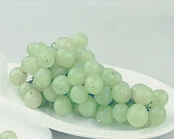 비너스 포도